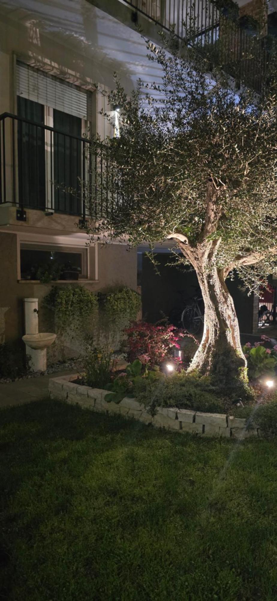 Ca' Olivo Villa โมลยาโน เวเนโต ภายนอก รูปภาพ